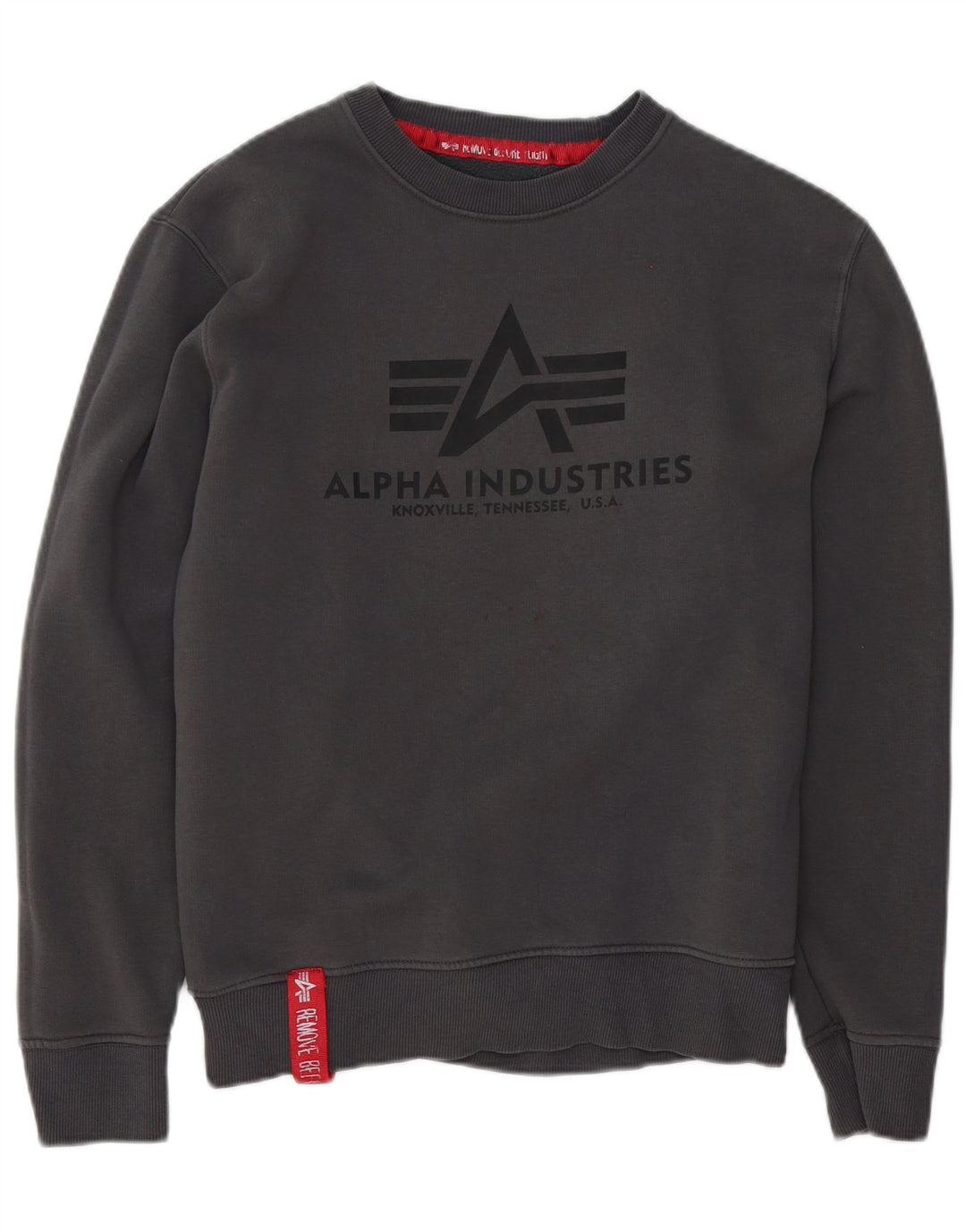Alpha Industries Sweat-shirt graphique pour homme Petit gris Coton