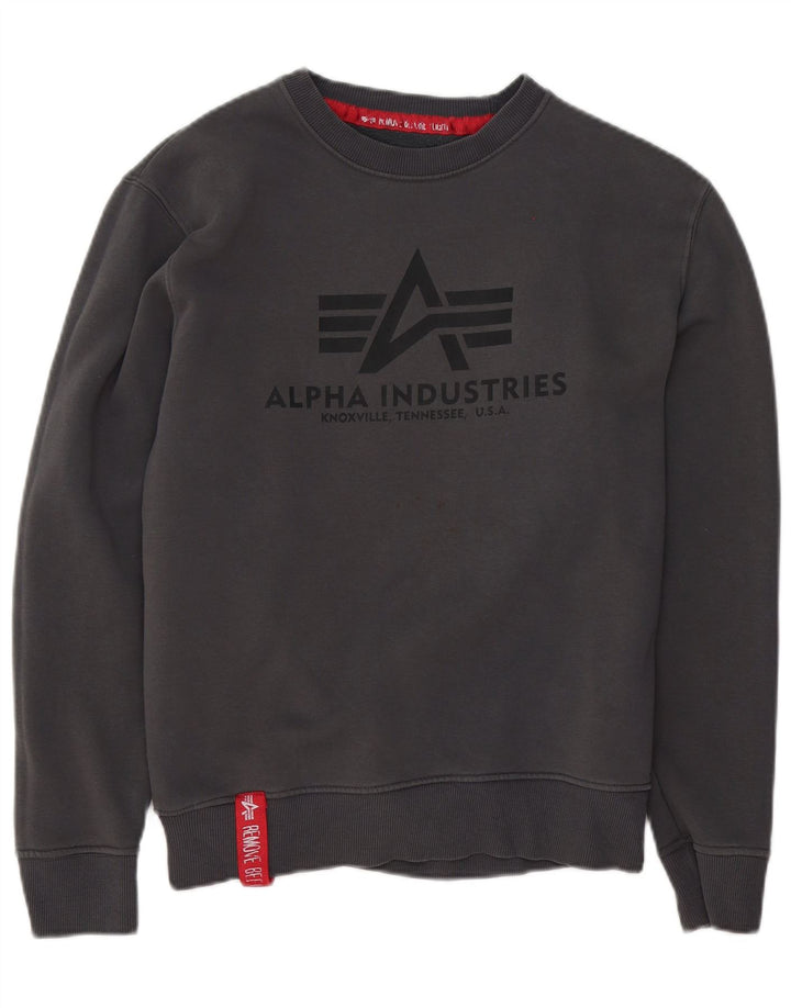 Alpha Industries Sweat-shirt graphique pour homme Petit gris Coton