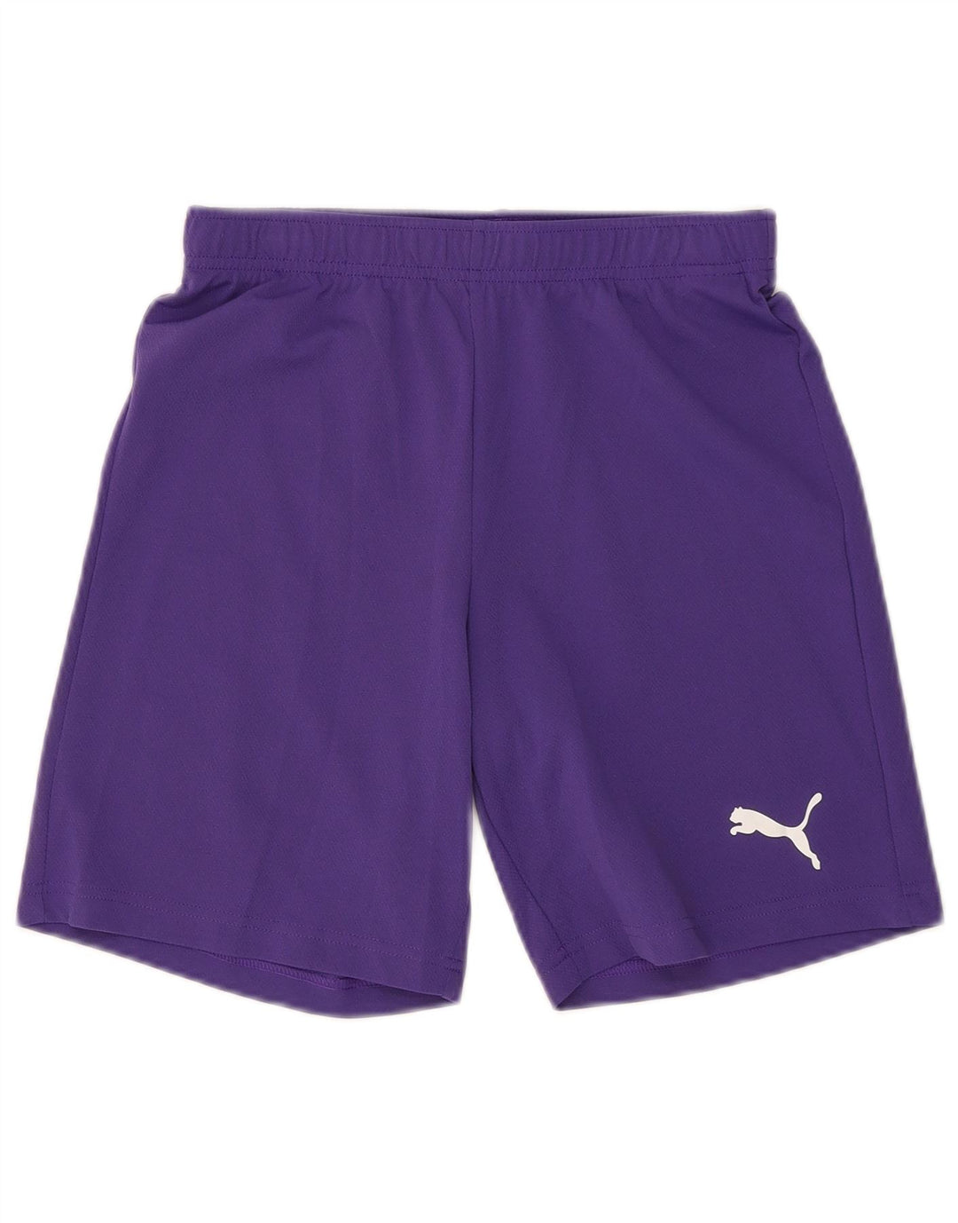 Puma Short de sport pour homme Petit Violet Polyester