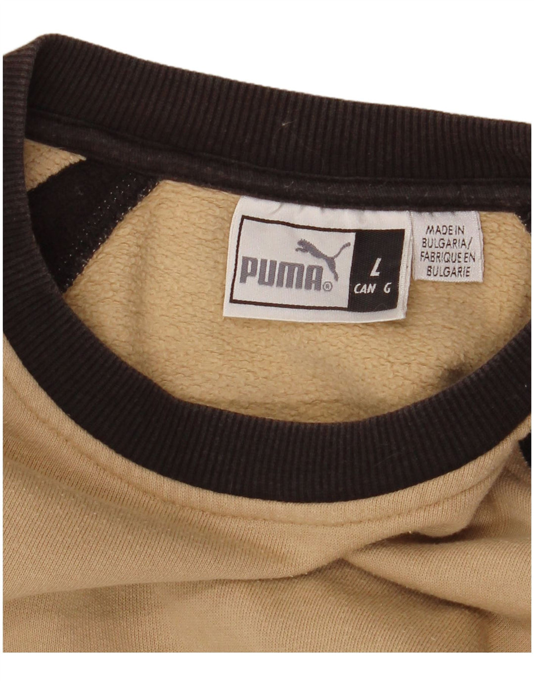 PUMA Sweat-shirt graphique pour hommes, grand, beige, colour block