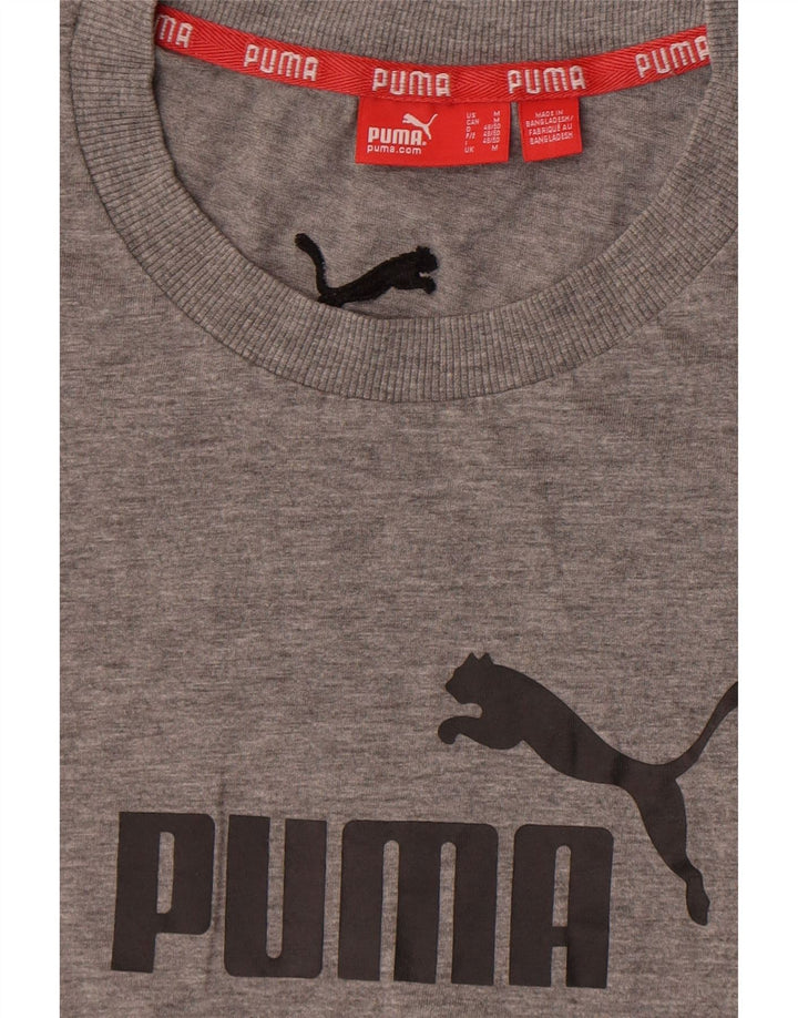 Puma Tee-Shirt Graphic Homme Gris Moyen