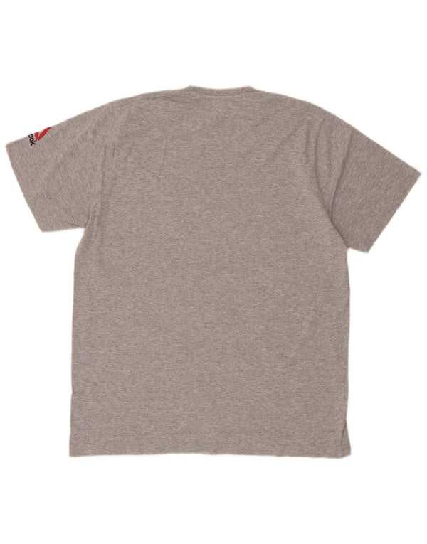 Reebok Tee-Shirt Ireland Graphic Homme Gris XL Coton