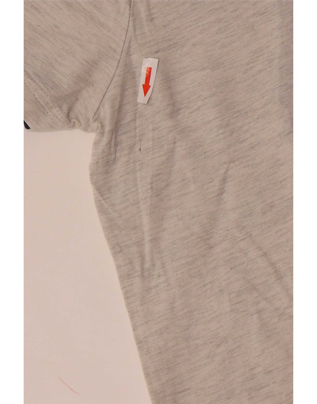 Desigual T-Shirt Graphique Homme Grand Gris Coton