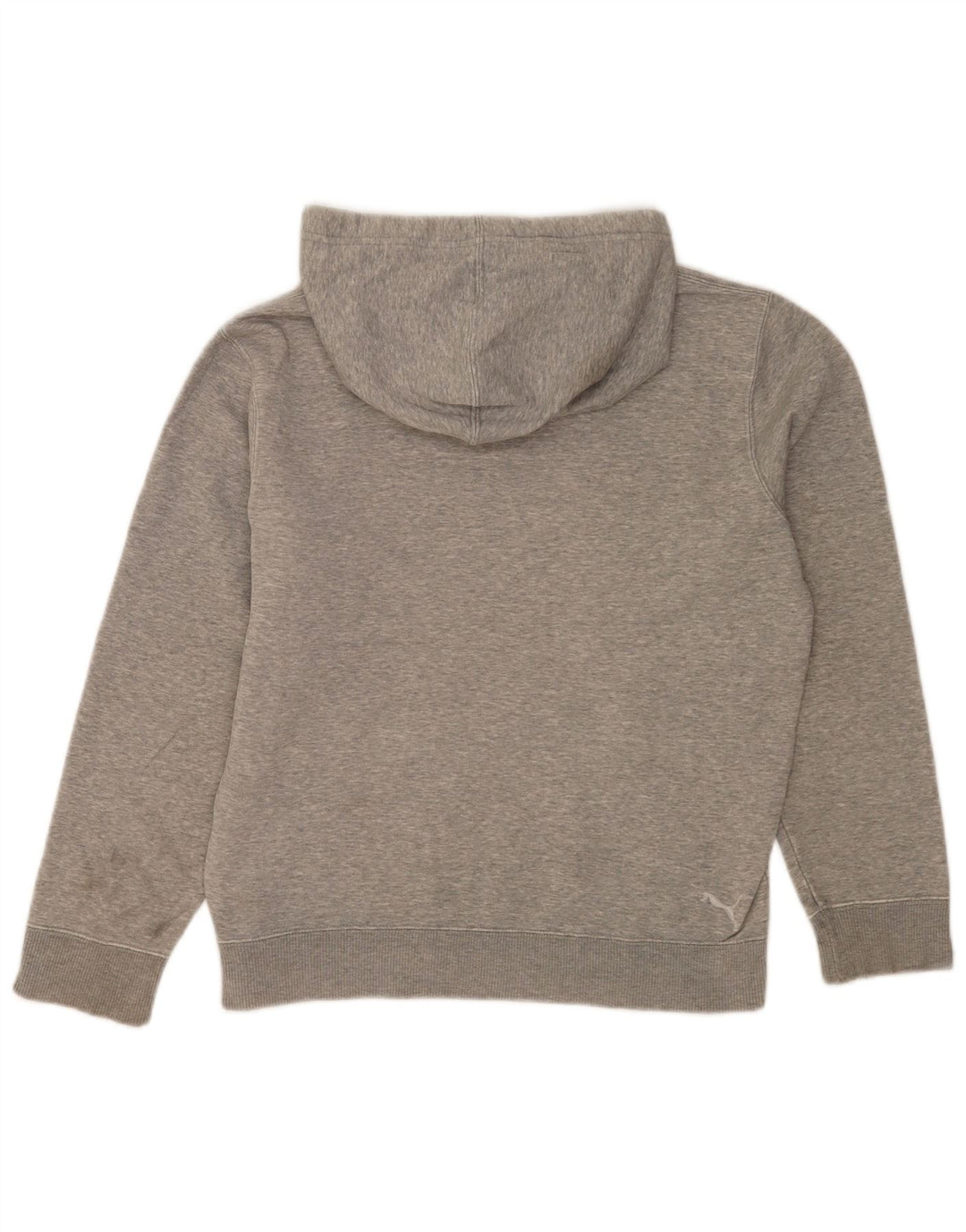 Puma Pull à Capuche Graphique Homme Petit Gris Moucheté