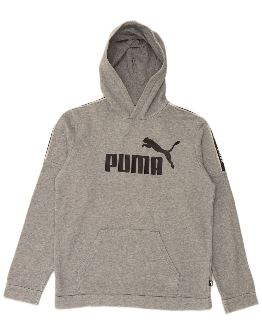 PUMA Pull à capuche graphique garçon 15-16 ans Gris Coton
