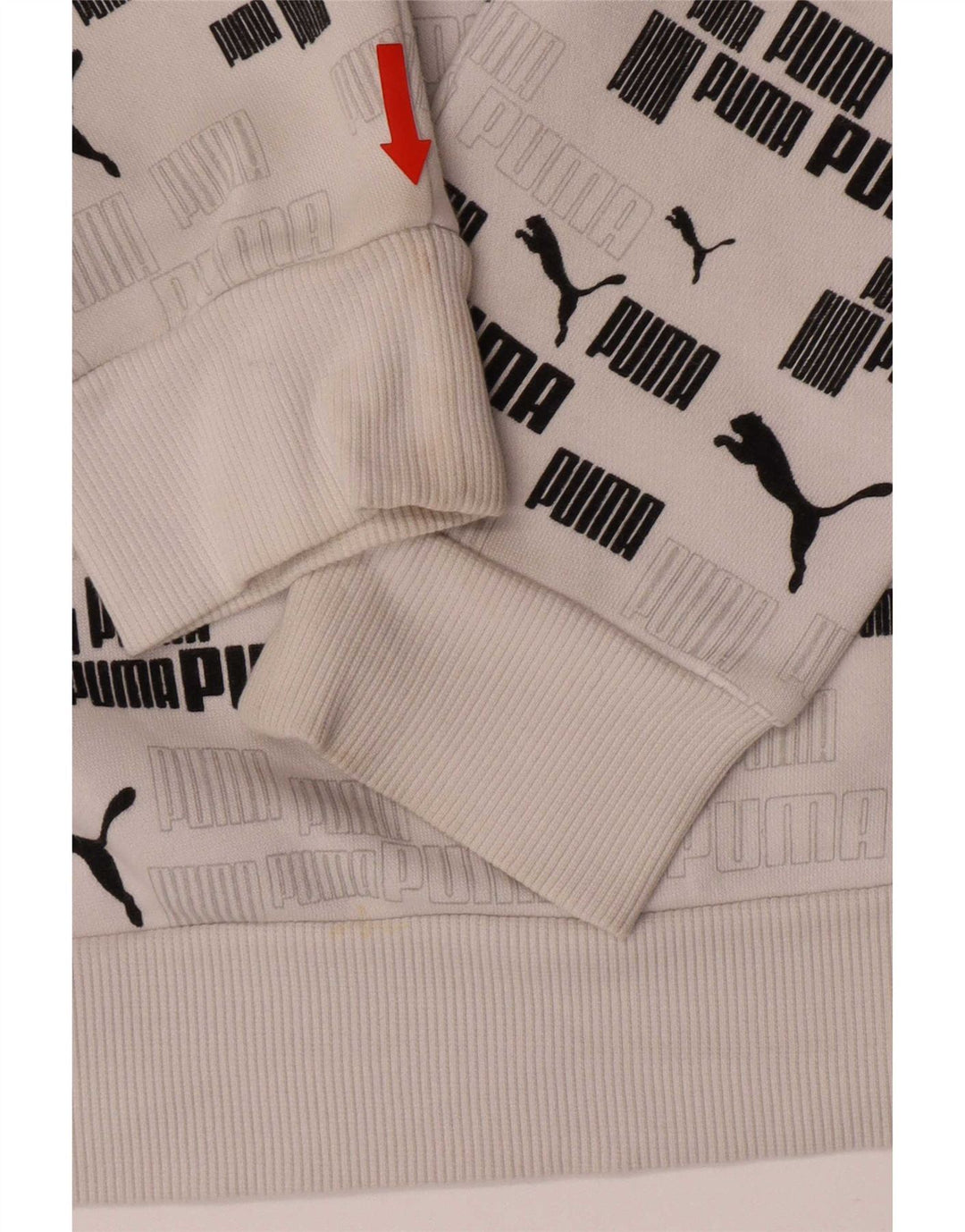 Puma Pull à capuche graphique homme petit blanc coton