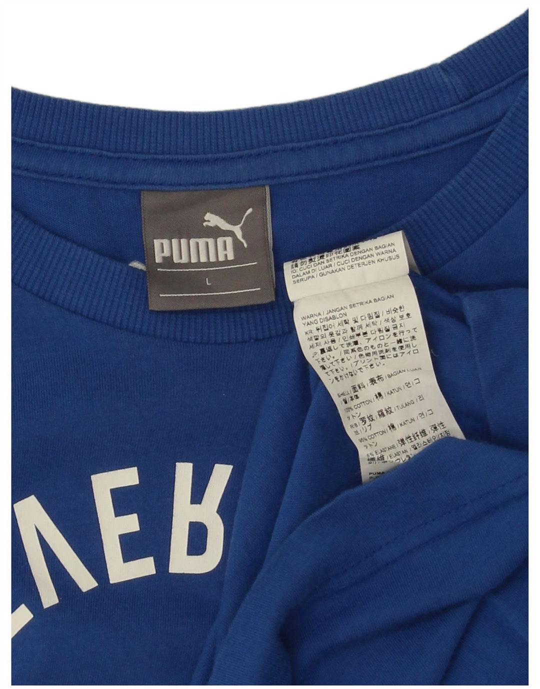 Puma T-shirt graphique pour homme, grand, bleu, coton