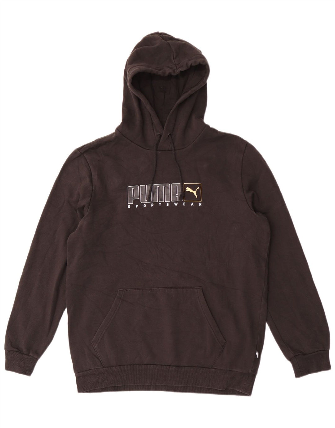Puma Pull à Capuche Graphique Homme Noir Moyen Coton