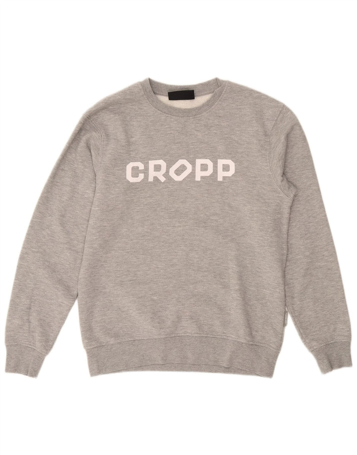 Cropp Mens Graphic Regular Fit Sweatshirt Jumper Petit Gris Coton