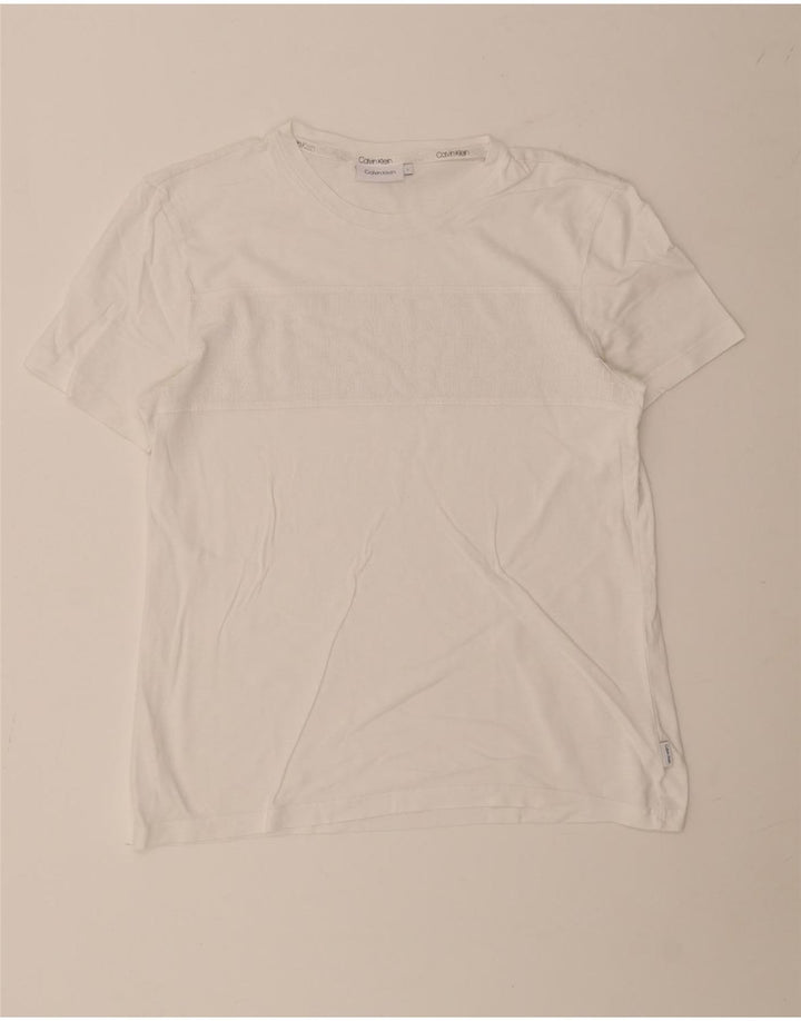Calvin Klein T-shirt graphique pour hommes, grand, blanc
