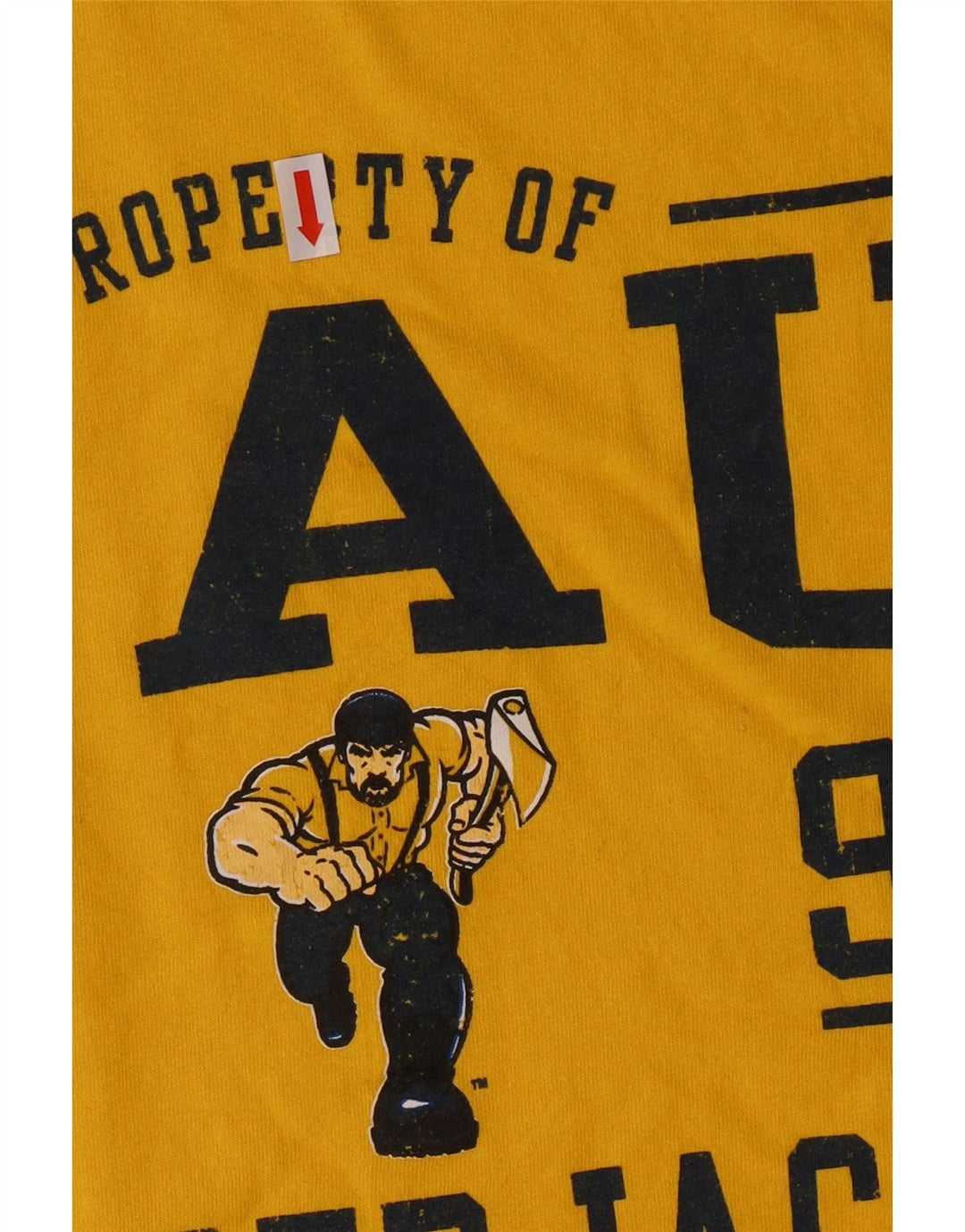 Russell Athletic T-Shirt Graphique Homme Jaune Moyen Coton
