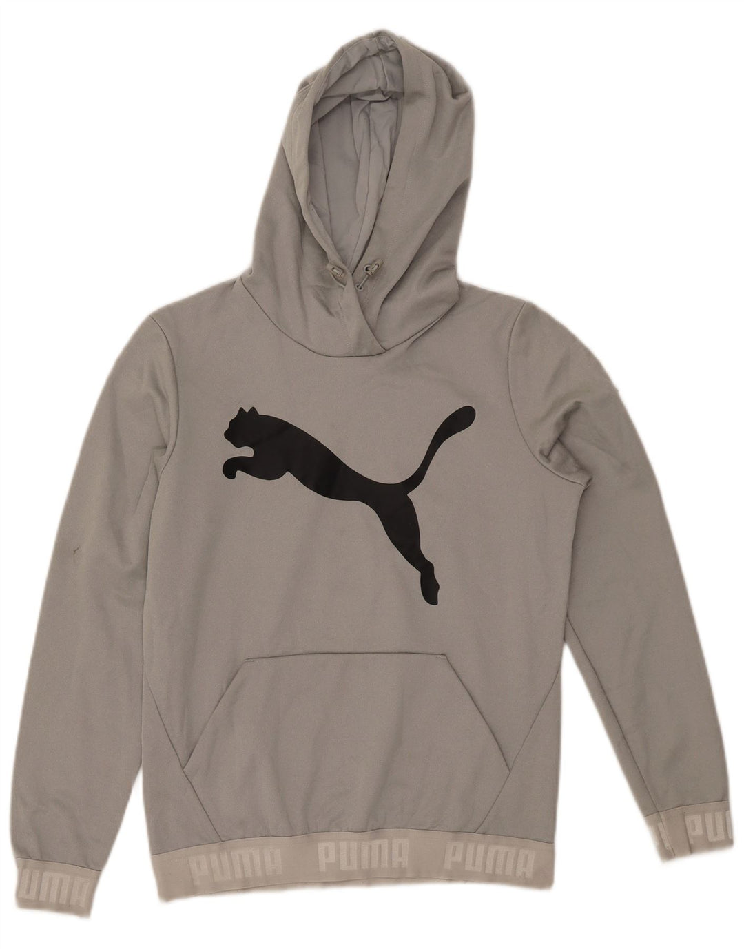 PUMA Pull à capuche graphique pour femme UK 42 Gris moyen Polyester