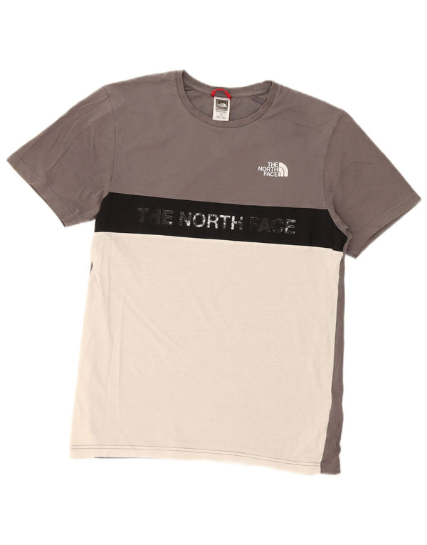 The North Face T-shirt graphique régulier pour hommes, petit, gris, colour block