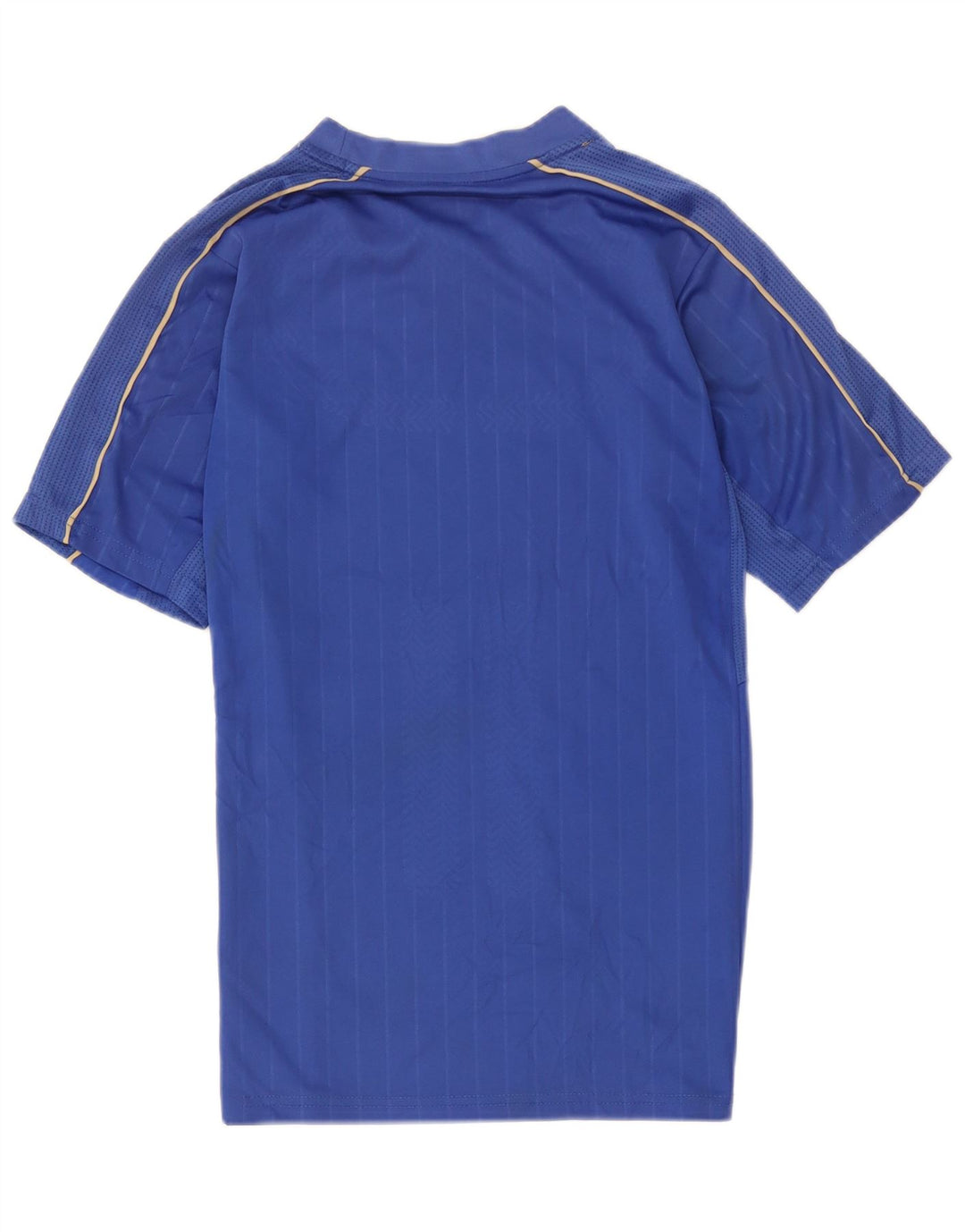 Puma Tee-Shirt Italia Graphic Homme Bleu Moyen Polyester