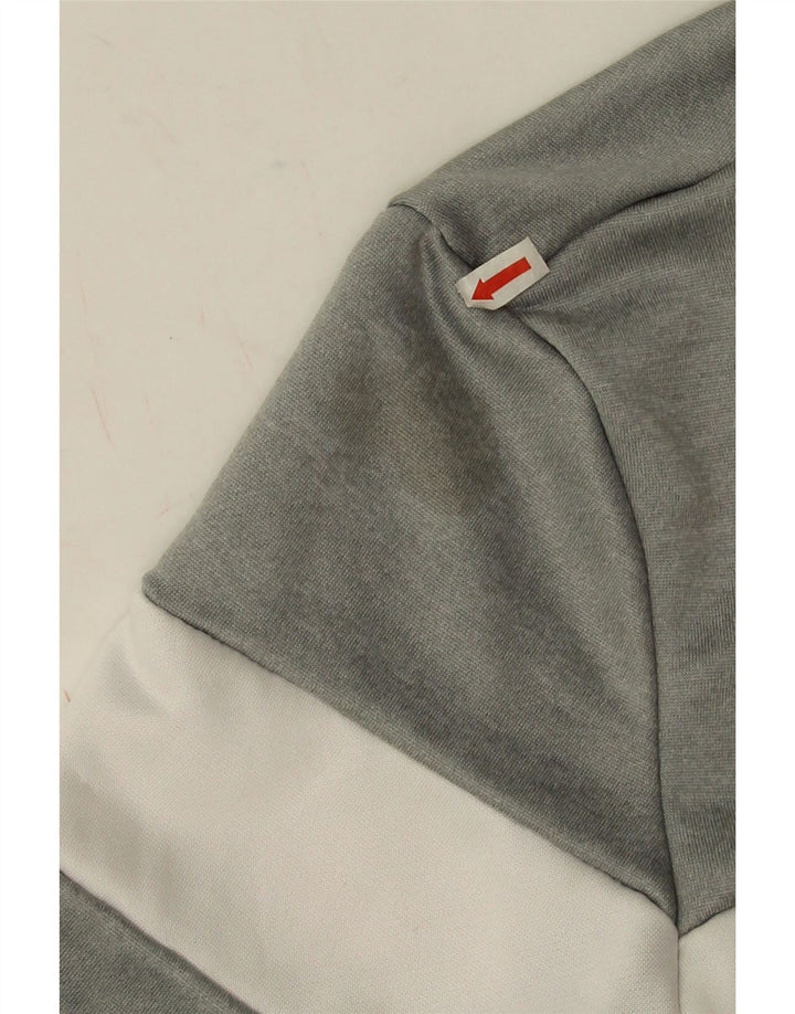 Ellesse Sweat-shirt graphique pour homme Petit gris Colorblock Polyester