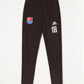 Adidas Pantalon de survêtement graphique pour homme Petit noir Polyester