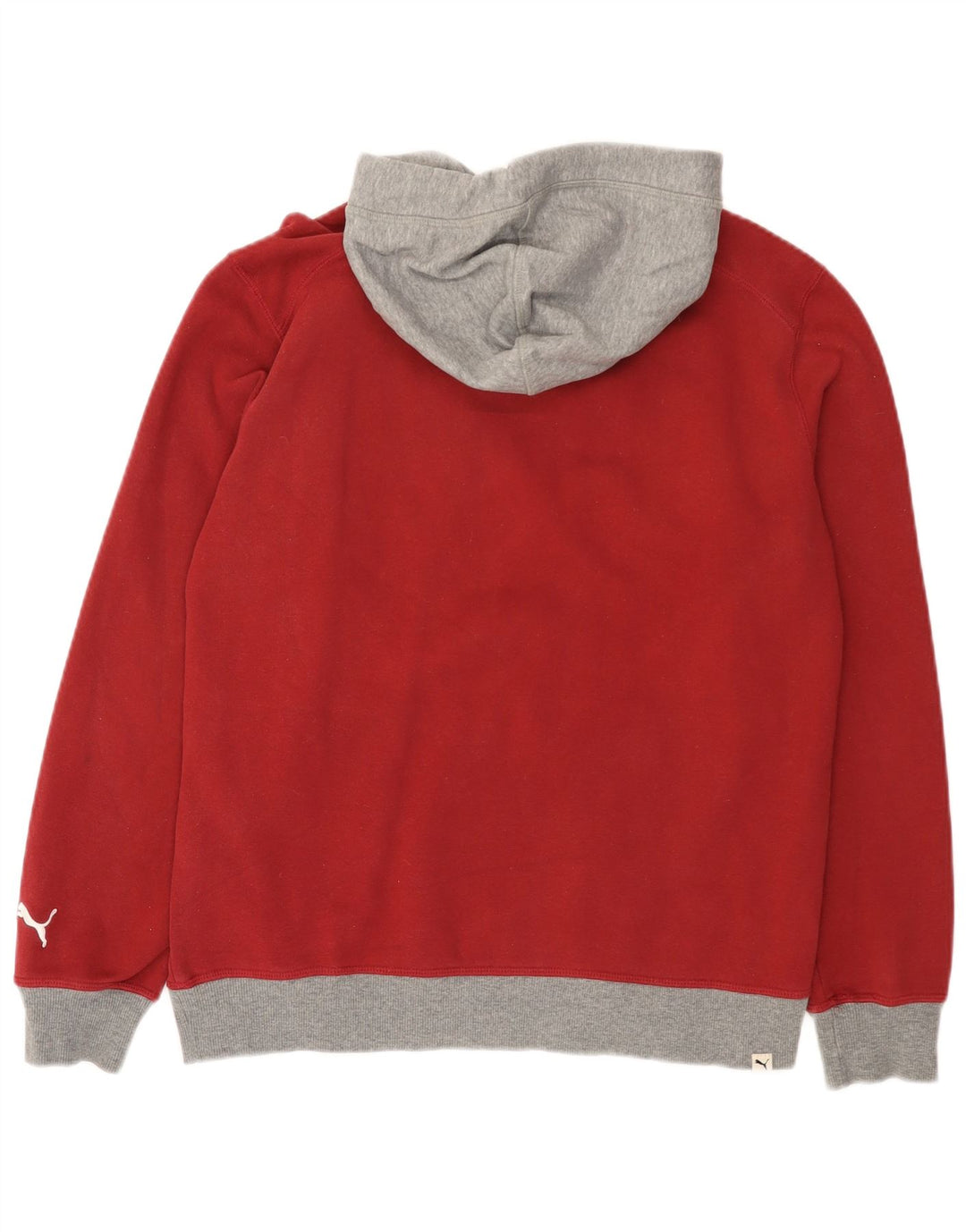 Puma Pull à Capuche Graphic Homme Rouge Moyen en Coton Colorblock