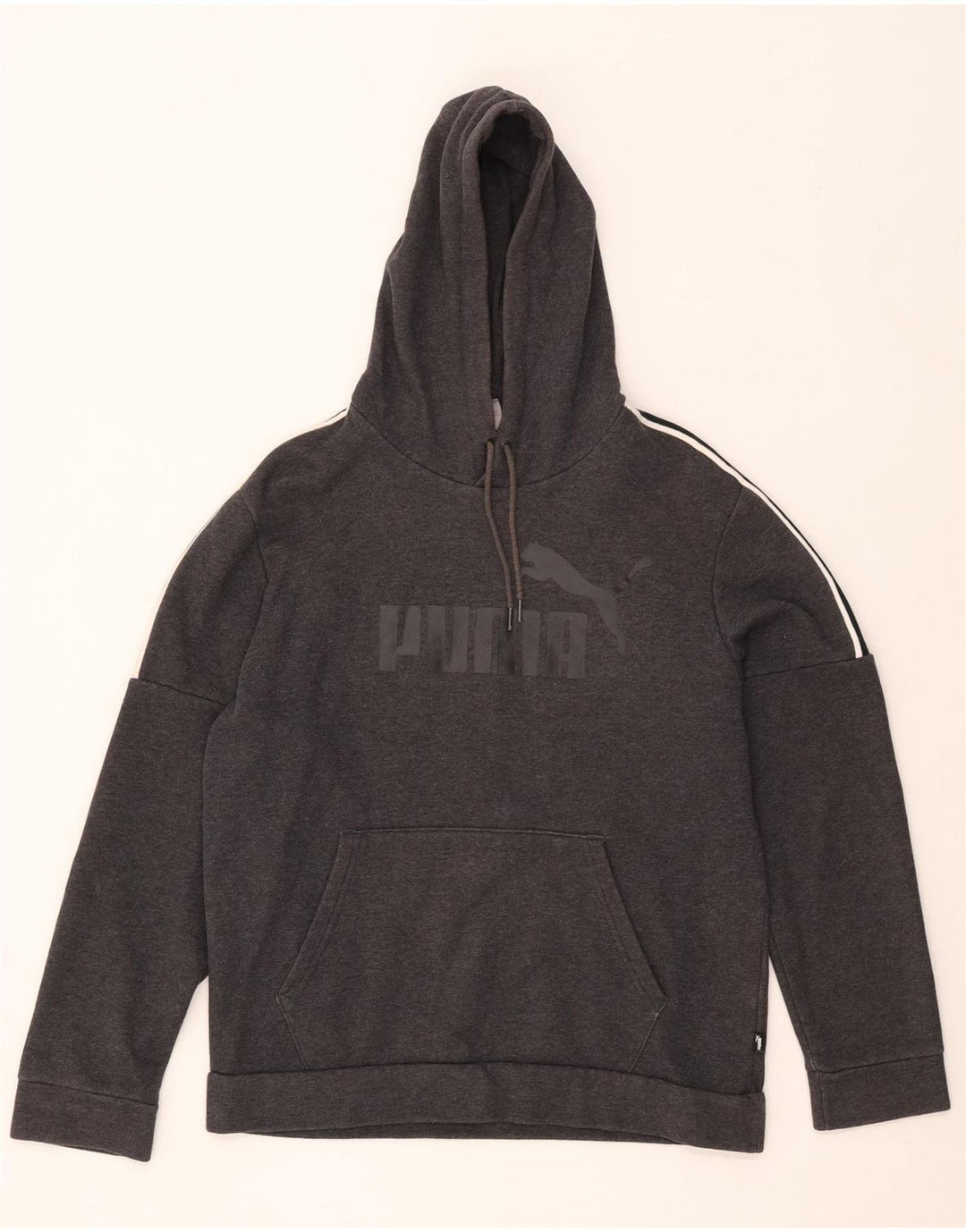 Puma Pull à Capuche Graphique Homme Gris Moyen Colorblock Coton