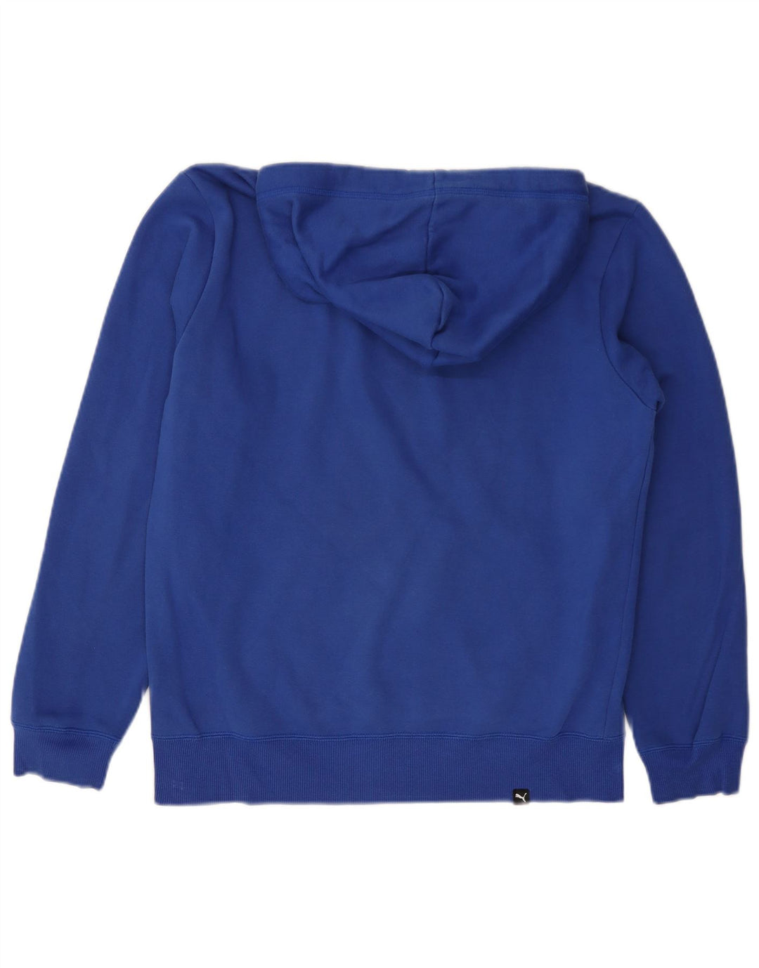 PUMA Pull à capuche graphique pour homme en coton bleu petit