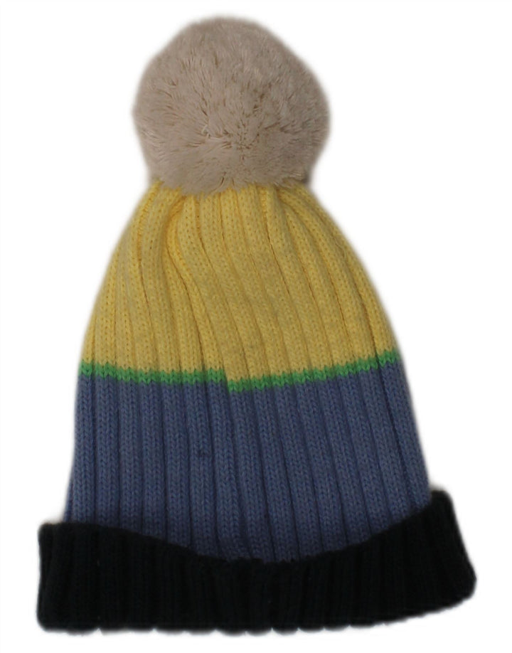 Champion Bonnet à pompon en tricot pour homme Taille unique Acrylique rayé multicolore Hiver