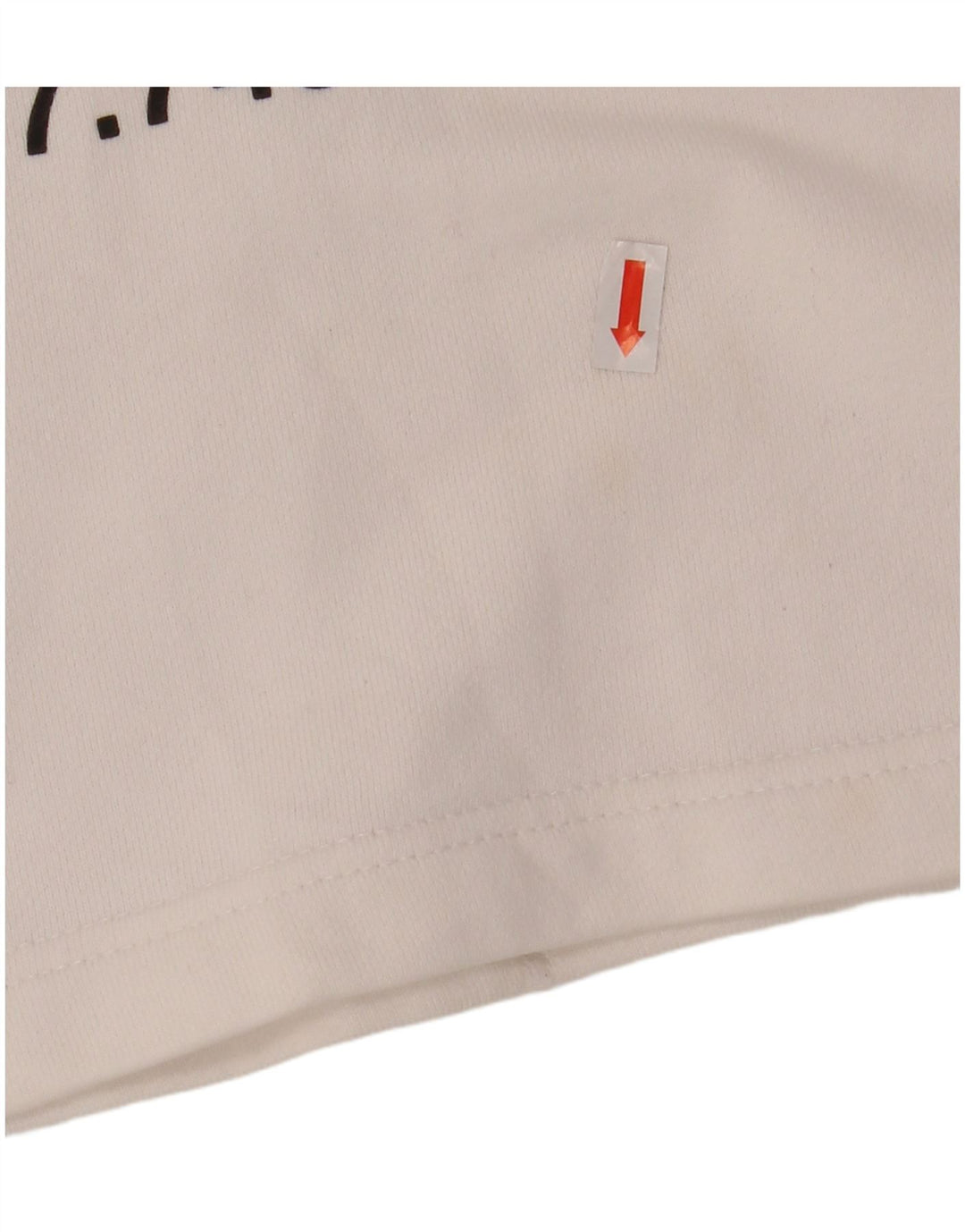 THE NORTH FACE Pull à capuche court graphique surdimensionné pour femme UK 6 XS Blanc