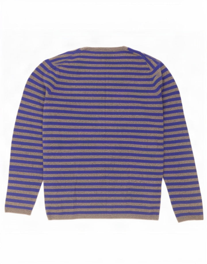 Gap Pull col V pour homme en laine d'agneau à rayures bleues