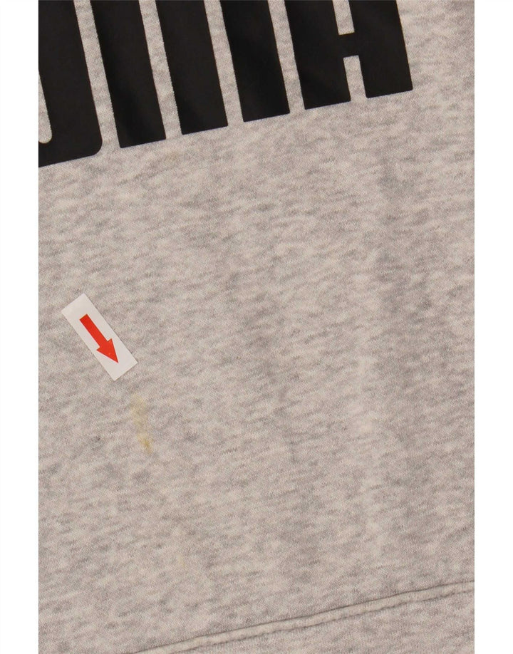 Puma Pull à capuche graphique homme petit gris coton