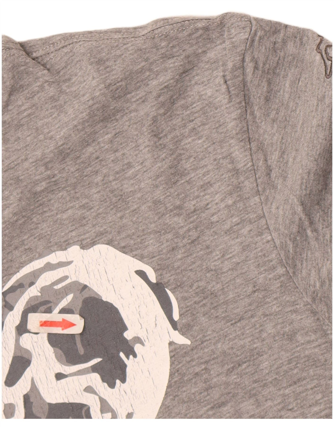Kappa T-Shirt Graphique Homme Grand Gris