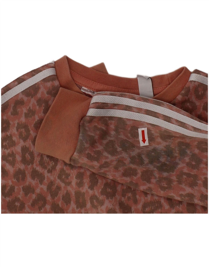 ADIDAS Survêtement complet pour bébé fille 18-24 mois en coton à imprimé animal rose