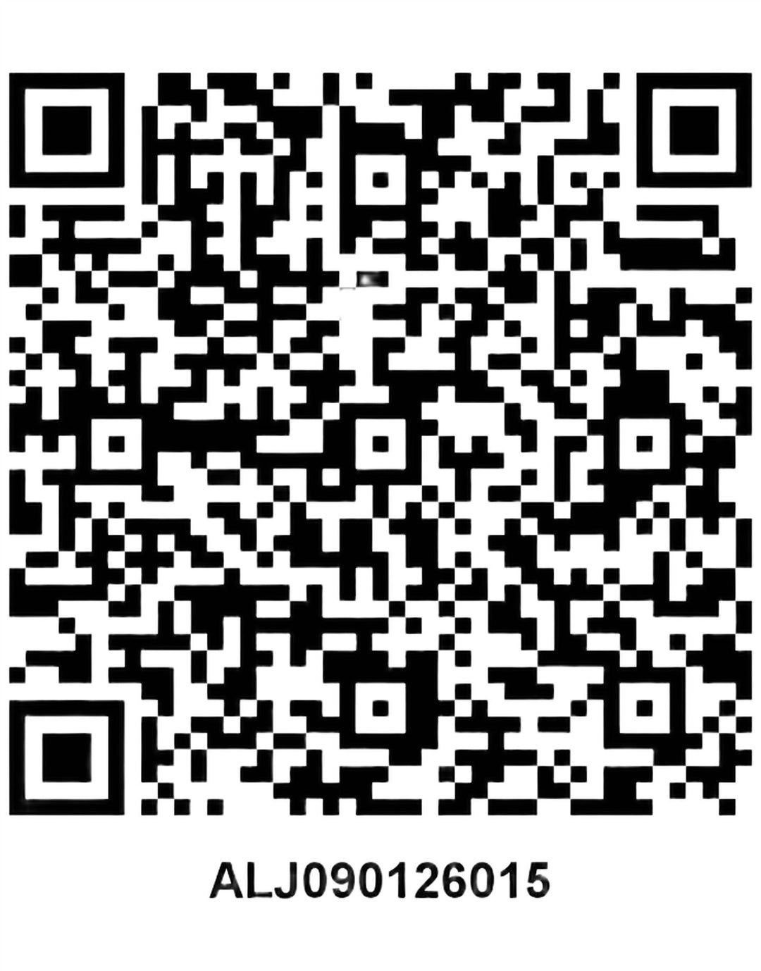 The North Face Pantalon de ski Hyvent pour homme Petit nylon gris