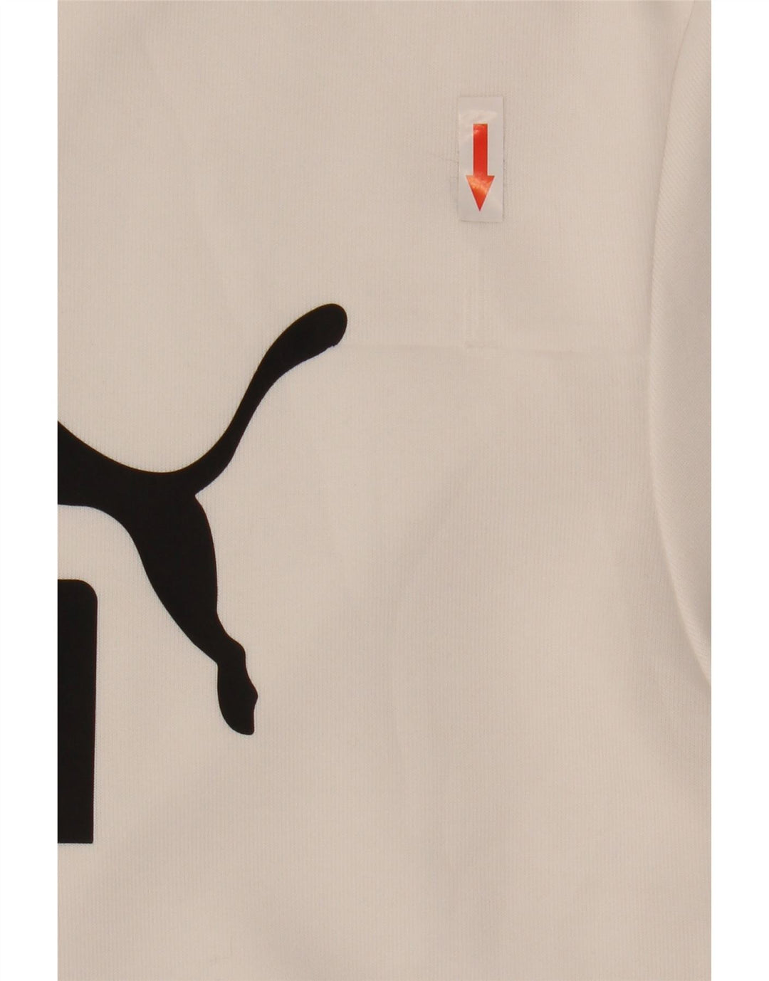 Puma Sweat-shirt graphique pour hommes, grand, blanc, polyester