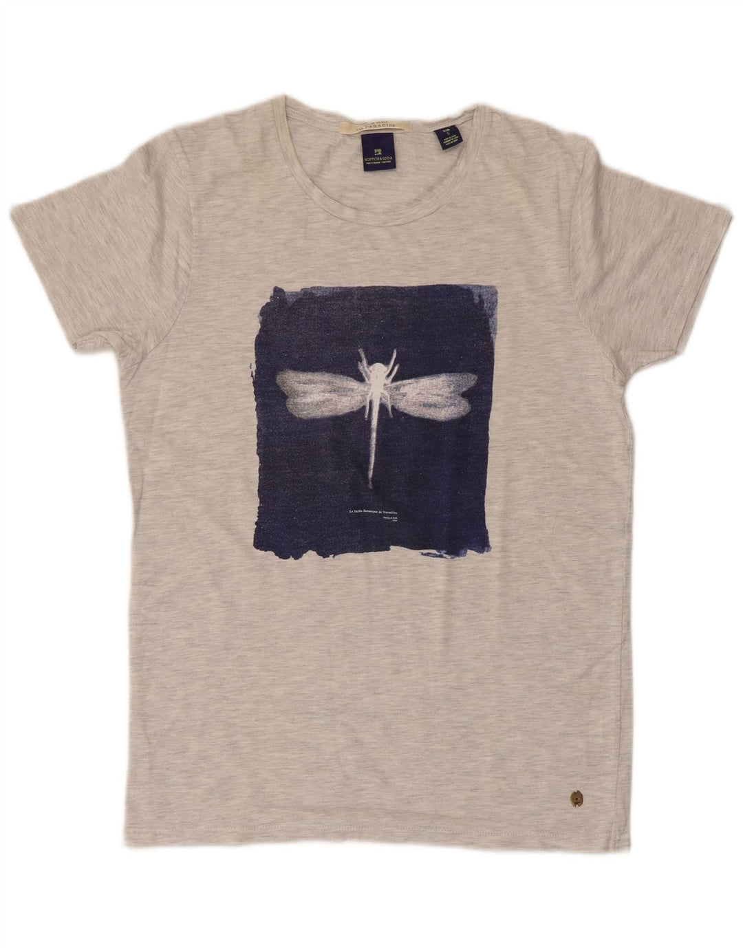 SCOTCH & SODA T-Shirt Graphique Homme Petit Gris Coton