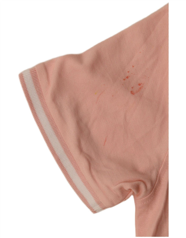 Penguin Polo Homme Petit Rose Rayé Coton