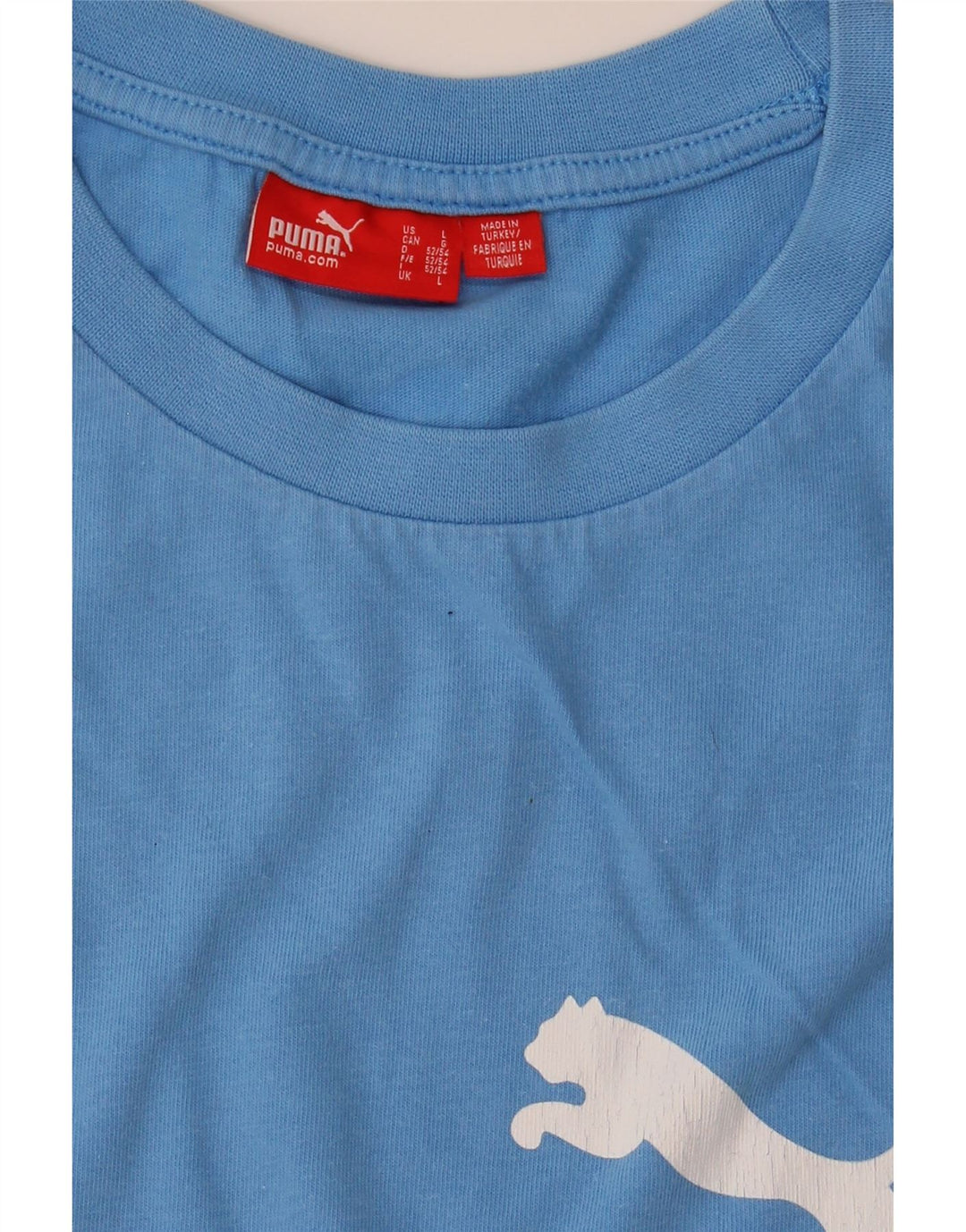 PUMA Débardeur graphique pour hommes, grand, bleu