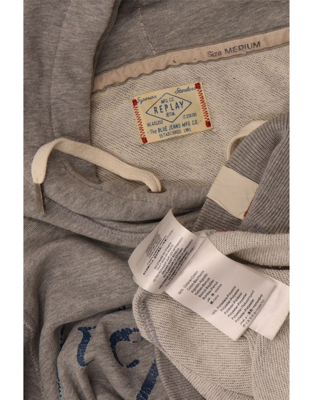 Replay Pull à Capuche Graphique Homme Gris Moyen Coton