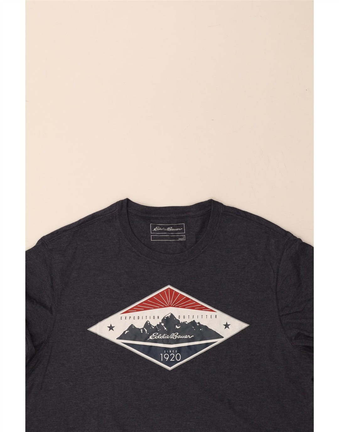 EDDIE BAUER Mens Graphic T-Shirt Top Large Navy Blue Cotton Vintage Eddie Bauer and Second-Hand Eddie Bauer from Messina Hembry 