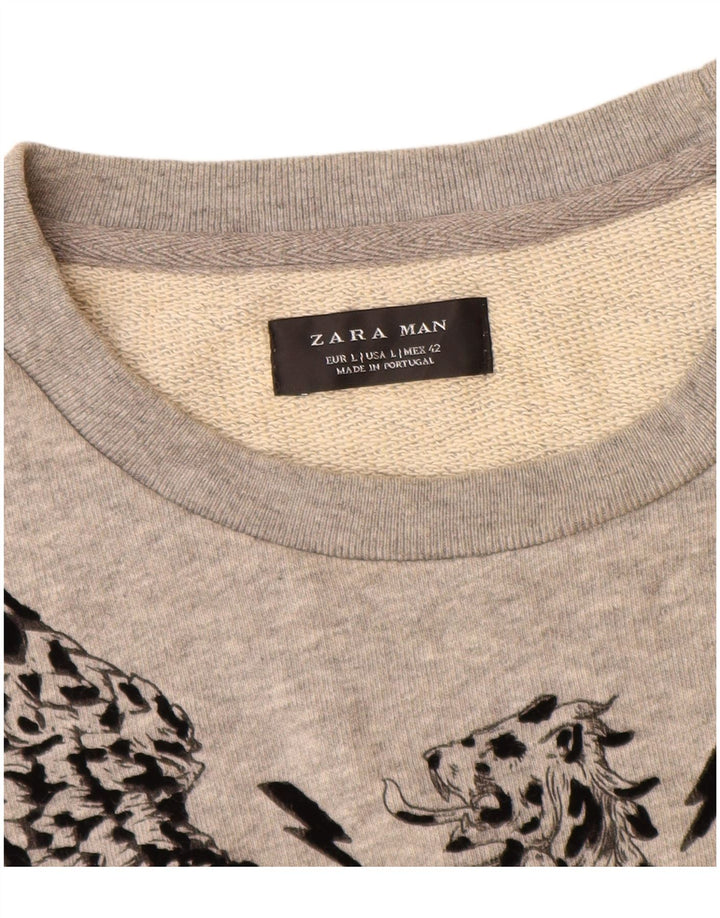 Zara Pull-over graphique pour hommes, grand, gris