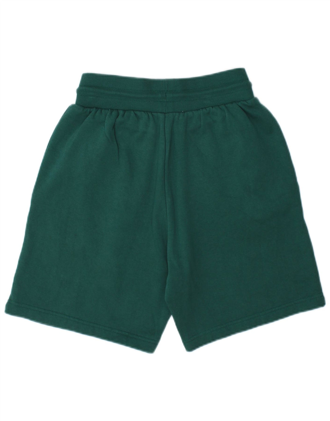 THE NORTH FACE Mens Sport Shorts XS  Green Cotton