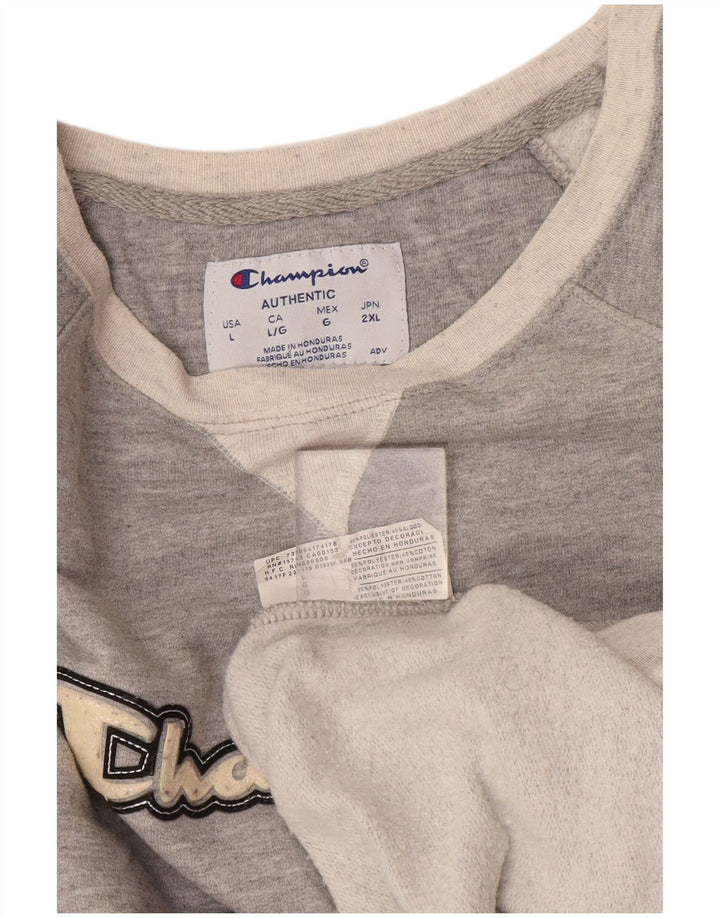 Champion Sweat-shirt graphique pour hommes, grand gris, polyester color block