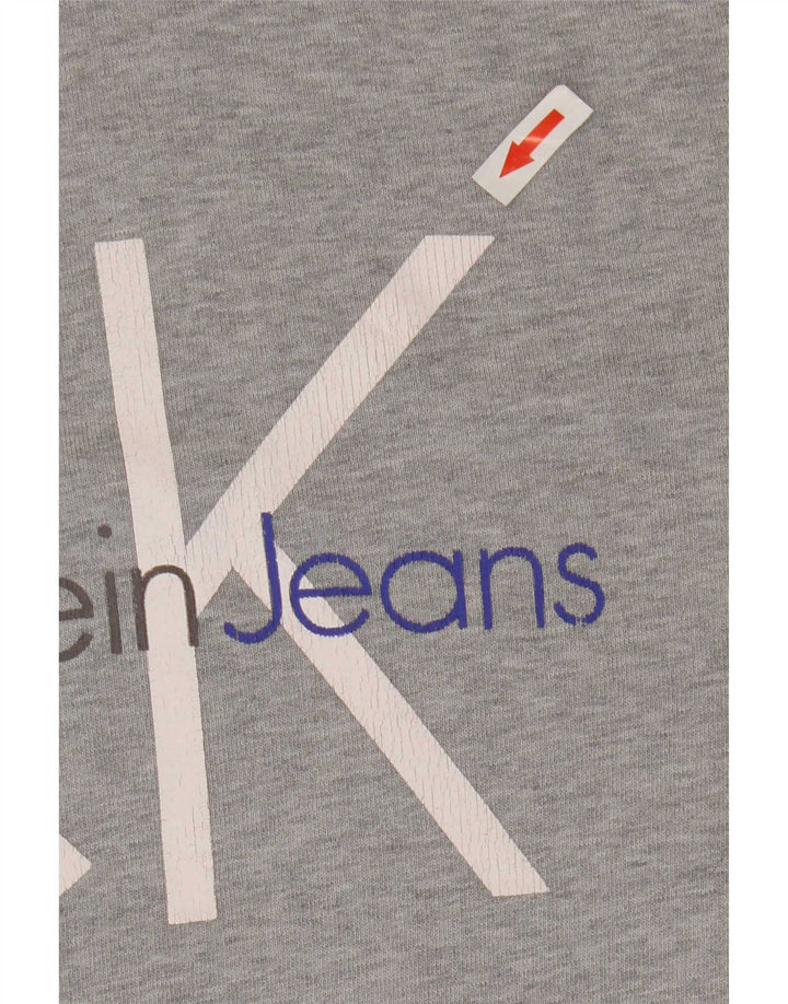 Calvin Klein Jeans Pull à Capuche Graphique Homme Gris Moyen