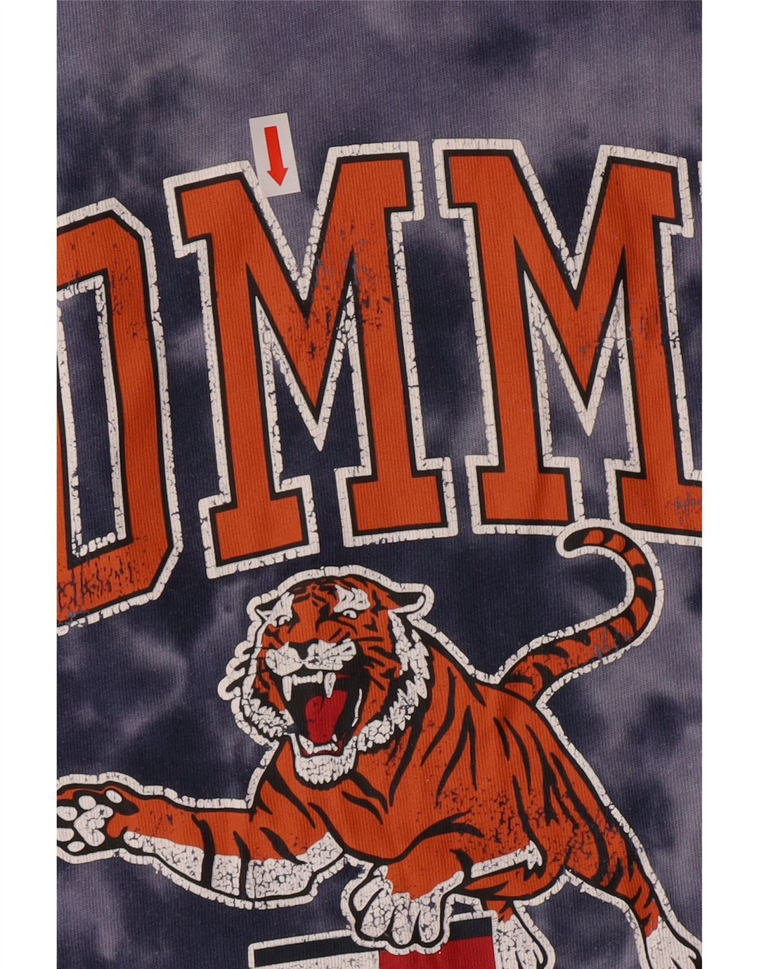 TOMMY HILFIGER T-Shirt Graphique Homme Grand Bleu Tie Dye Coton