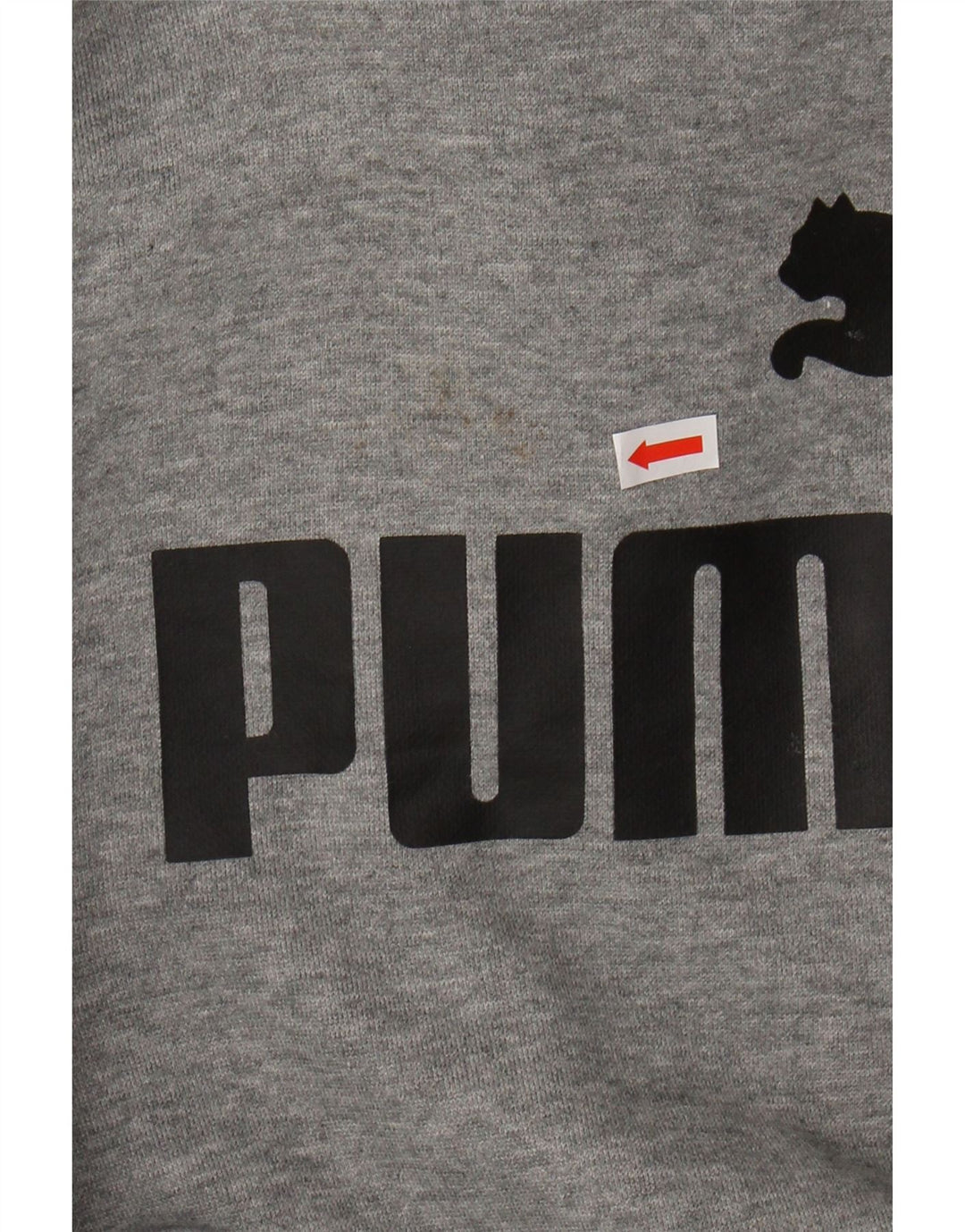 PUMA Sweat à capuche graphique pour garçon 9-10 ans Gris