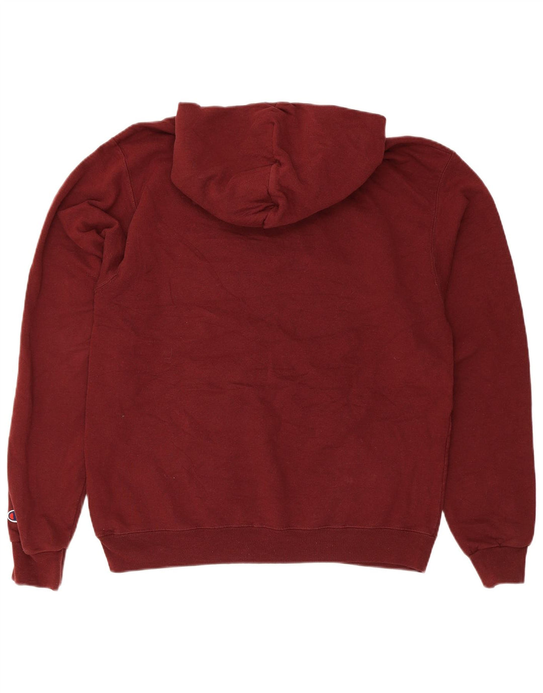 Champion Pull à capuche graphique coupe régulière pour homme Marron moyen College