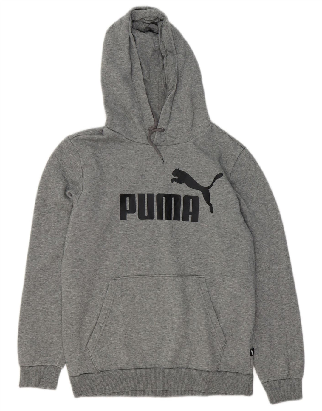 PUMA Pull à capuche graphique homme petit gris coton