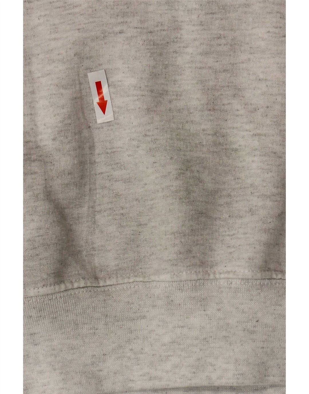 Champion Sweat-Shirt Graphique Homme Gris Moyen Coton