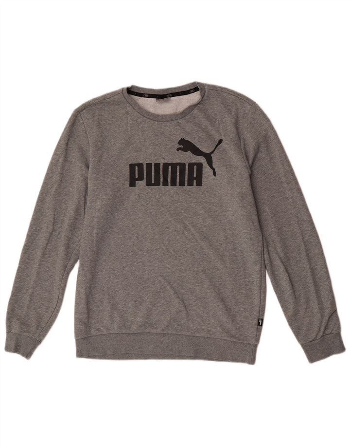 Puma Sweat-shirt graphique pour homme, grand, gris, coton