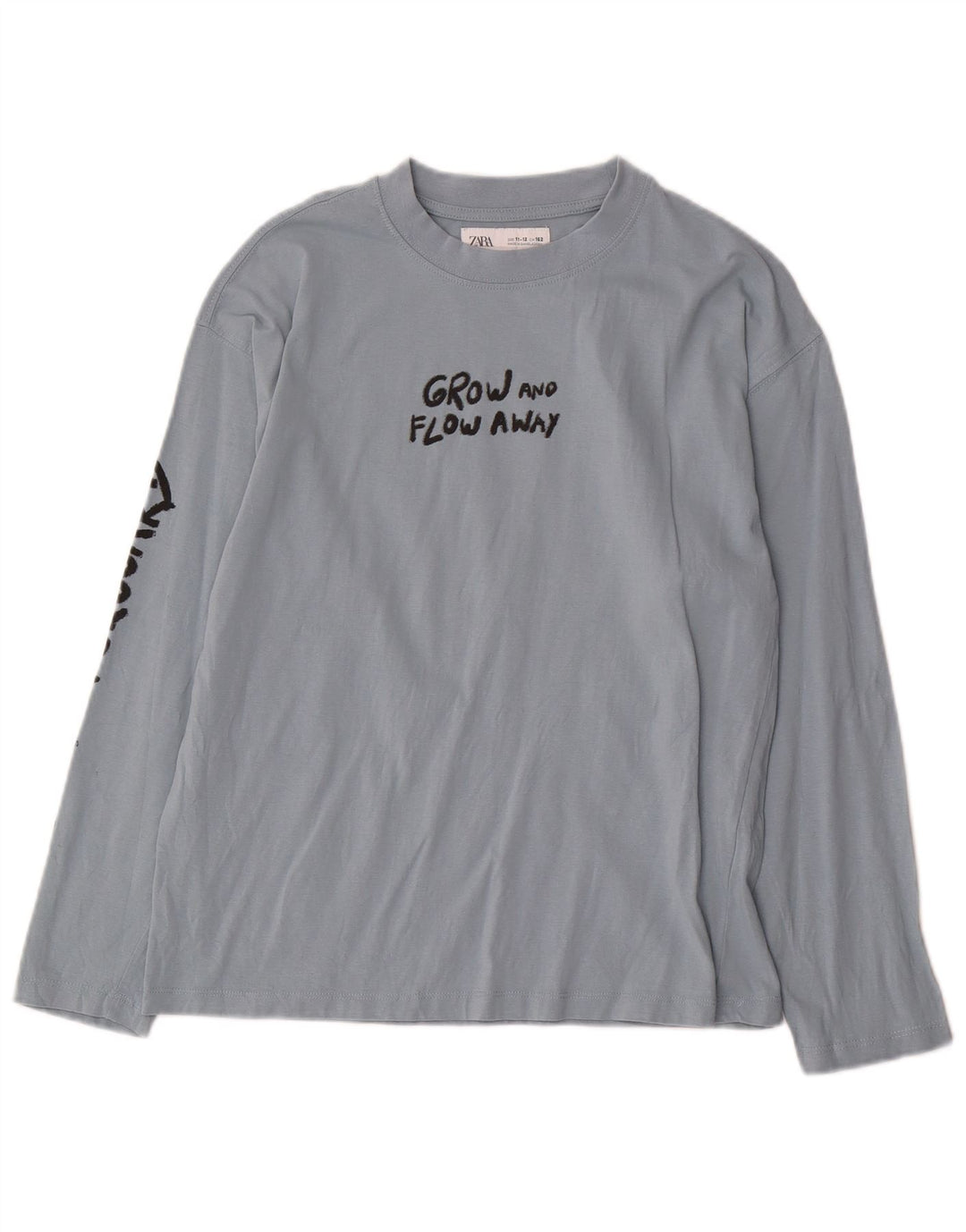 Zara Garçon Graphique Top Manches Longues 11-12 ans Bleu Coton