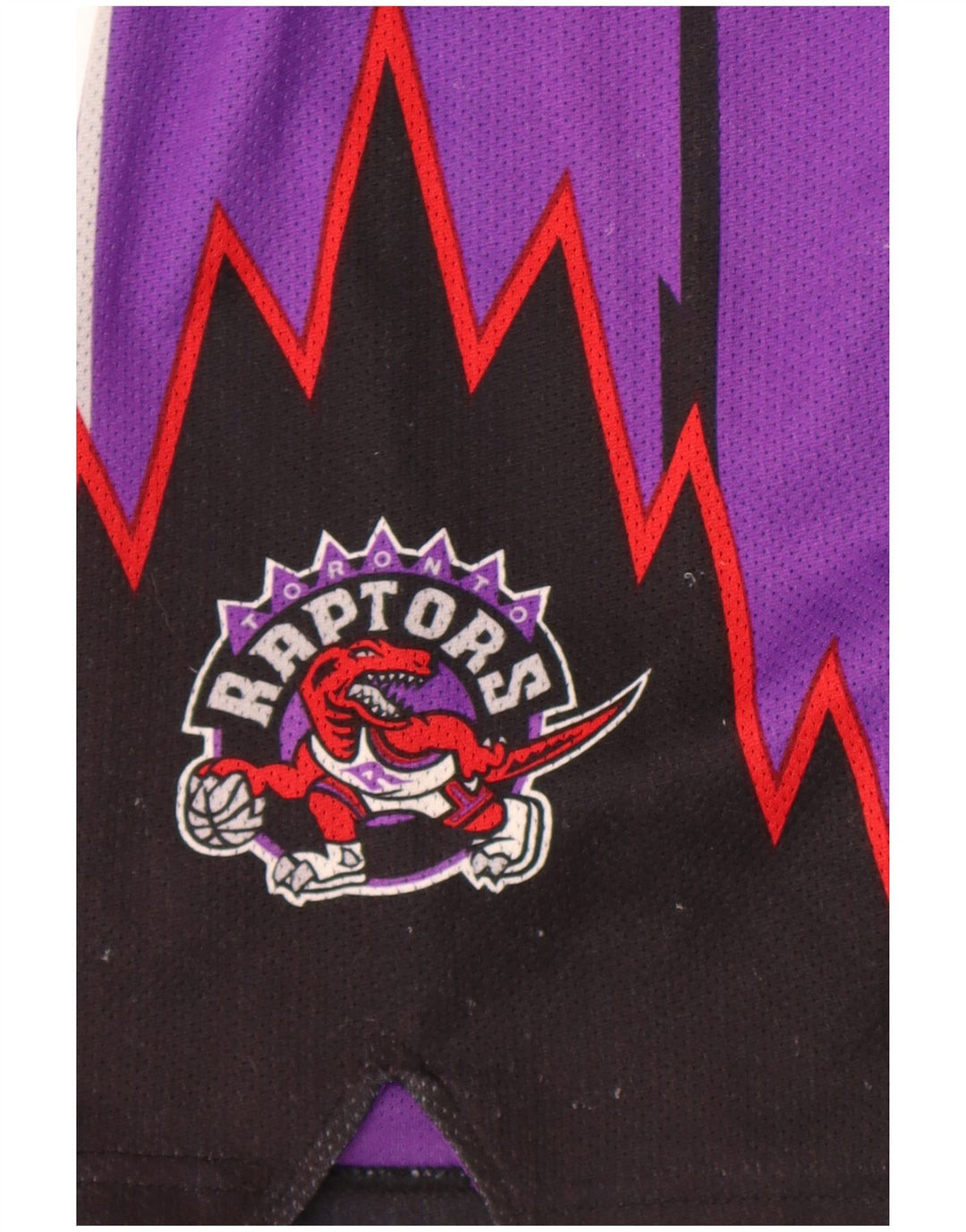 Champion Mitchell&Ness NBA Los Toronto Raptors Short Petit Violet