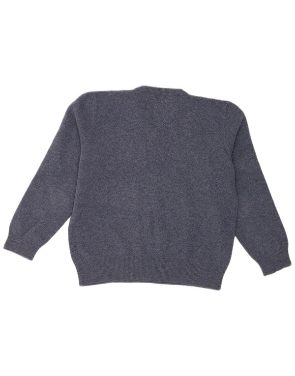 Polo Ralph Lauren Pull col V homme XL bleu laine d'agneau