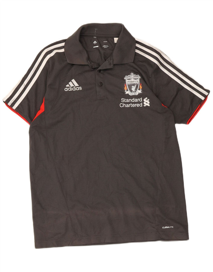 Adidas Homme Liverpool Graphic Polo Petit Gris Colorblock Polyester